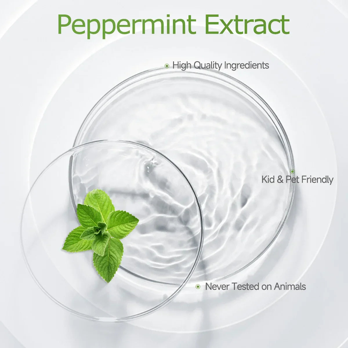 Peppermint Scented Oil for Home & Spaces