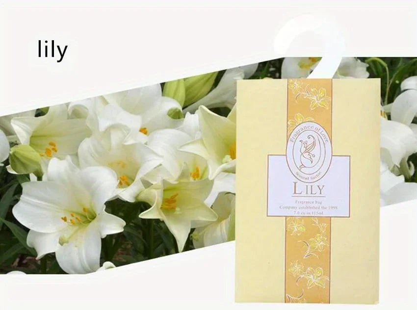 Fragrance Sachets for Spaces – Set of 6